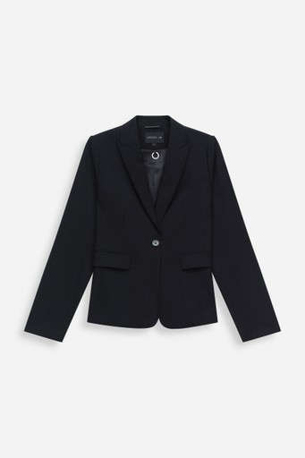 Karen blazer