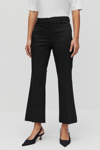 Desi cropped flare trs
