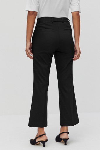 Desi cropped flare trs
