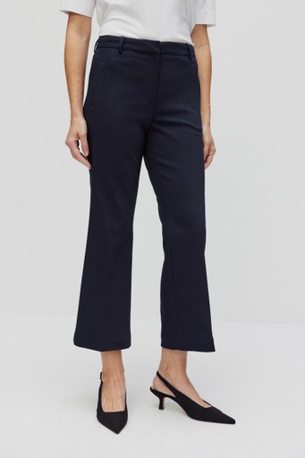 Desi cropped flare trs