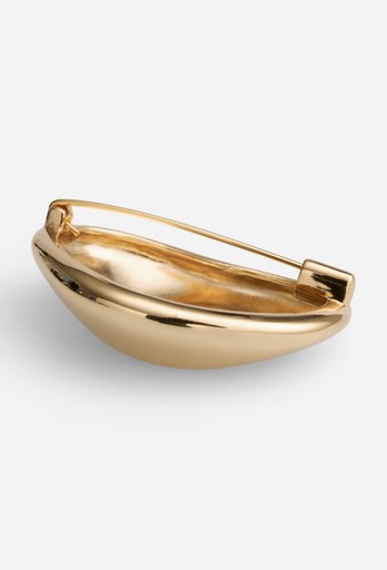 Levi brooch
