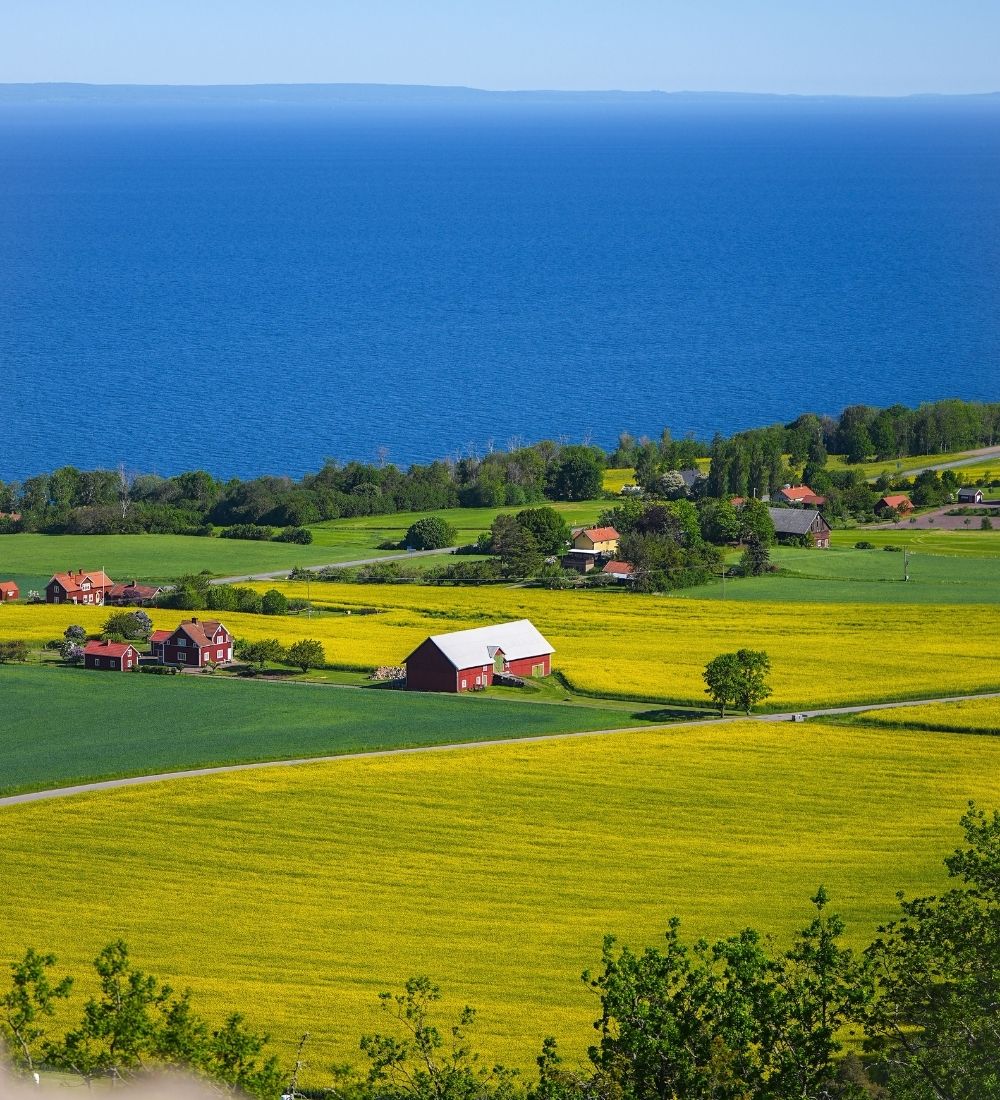En vacker bild på ett svenskt sommarlandskap