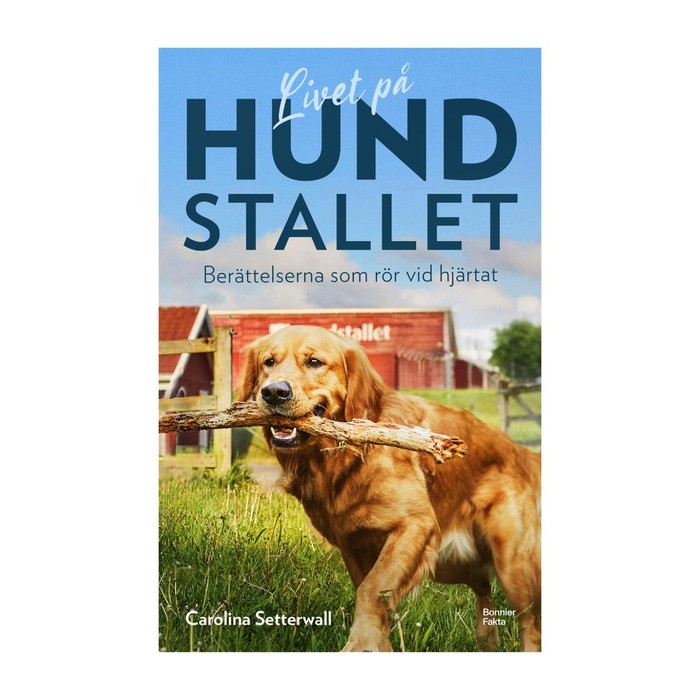 Livet på Hundstallet : Berättelserna som rör vid hjärtat