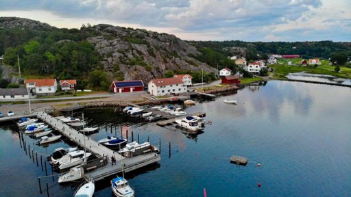 Hummersafari i Bohuslän 