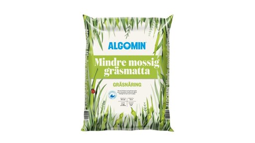 Vårfixa i trädgården med Blomstertorget