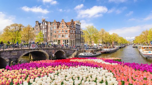 Flodkryssning på Rhen från Amsterdam till Basel