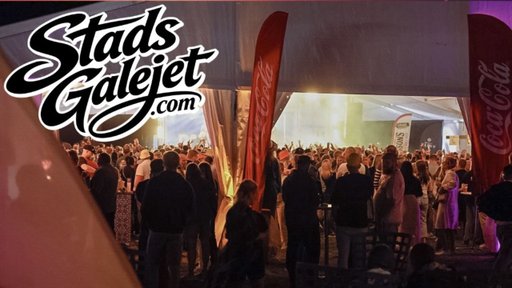 Stadsgalejet i Trosa 5-9 augusti!