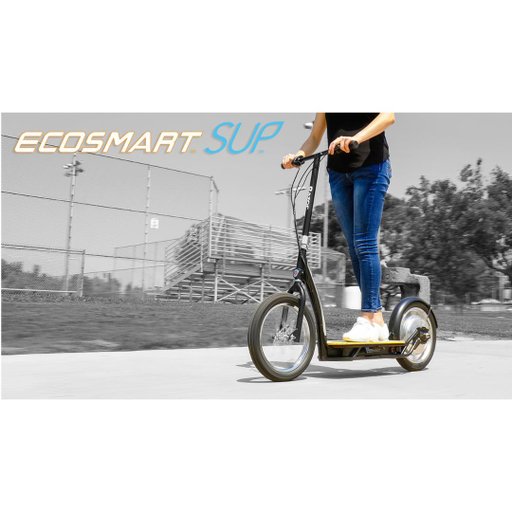El-Scooter EcoSmart SUO 350W El-Scooter EcoSmart SUO 350W
