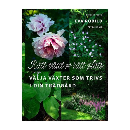 Rätt växt på rätt plats : välja växter som trivs i din trädgård Rätt växt på rätt plats : välja växter som trivs i din trädgård