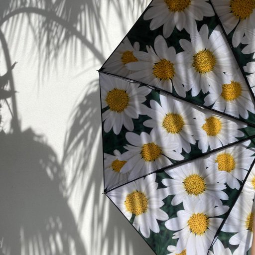 Paraply Daisy Paraply Daisy