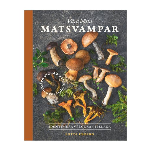 Våra bästa matsvampar : identifiera, plocka, tillaga Våra bästa matsvampar : identifiera, plocka, tillaga