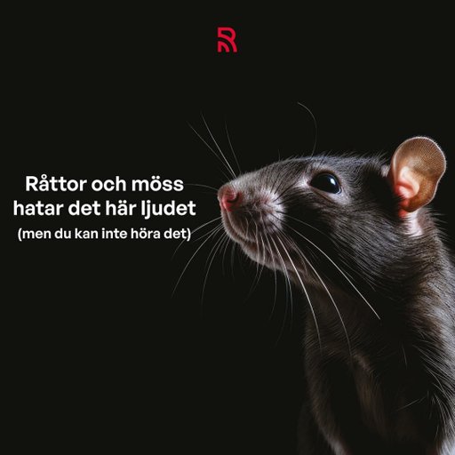Repello råttskrämma. 1-pack