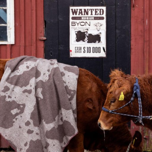 Filt Anima cow Filt Anima cow