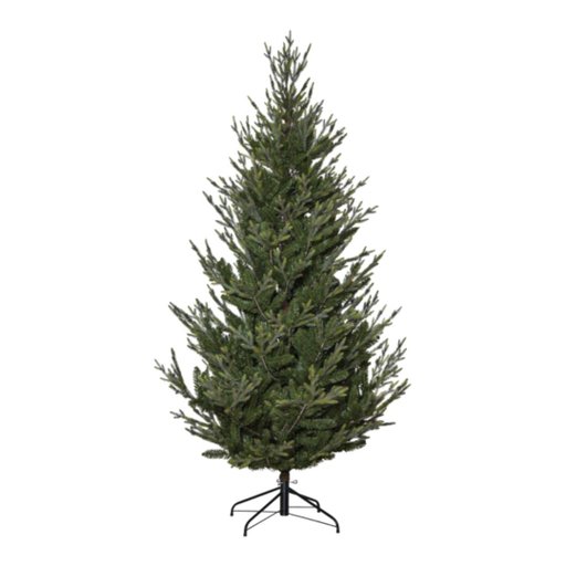 Julgran Uppsala, 210 cm