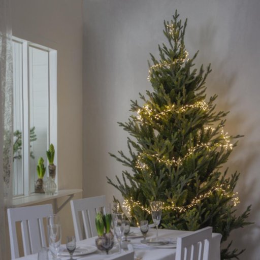 Julgran Uppsala, 210 cm