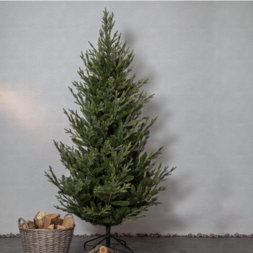 Julgran Uppsala, 210 cm