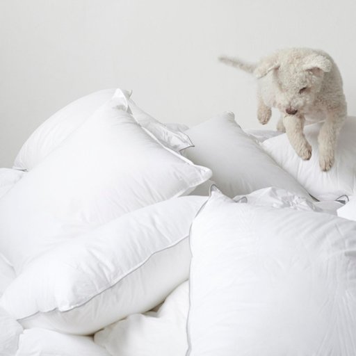 2-pack Hotellkudde 325 g låg 50x60cm