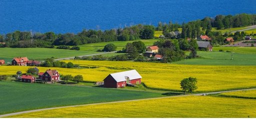 En svensk sommarbild på ett vackert landskap med ett hav i bakgrunden