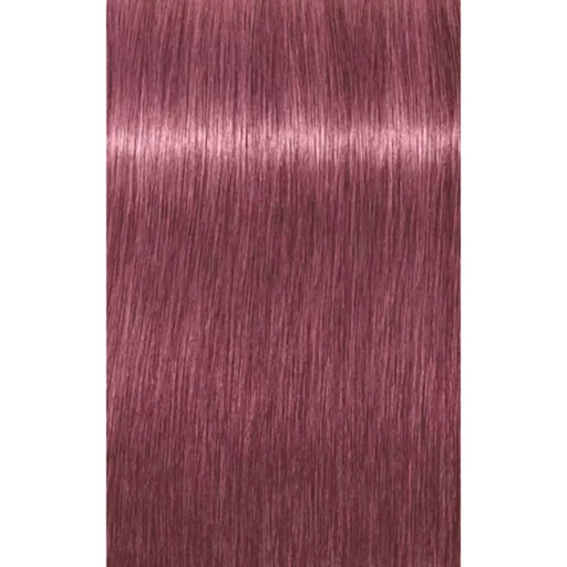 Schwarzkopf Professional Igora Vibrance Kit 9,5-98 Violett röd toner 60ml+60ml