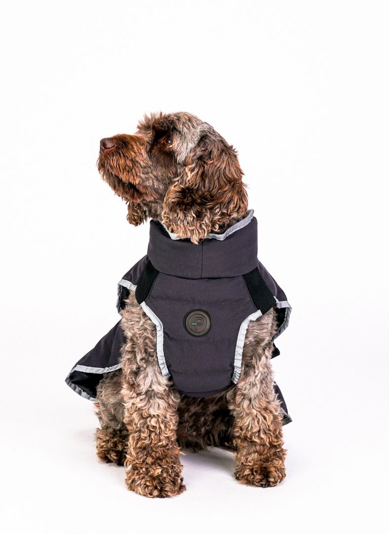 Commodus Dog Coat Commodus Dog Coat Reflective Charcoal