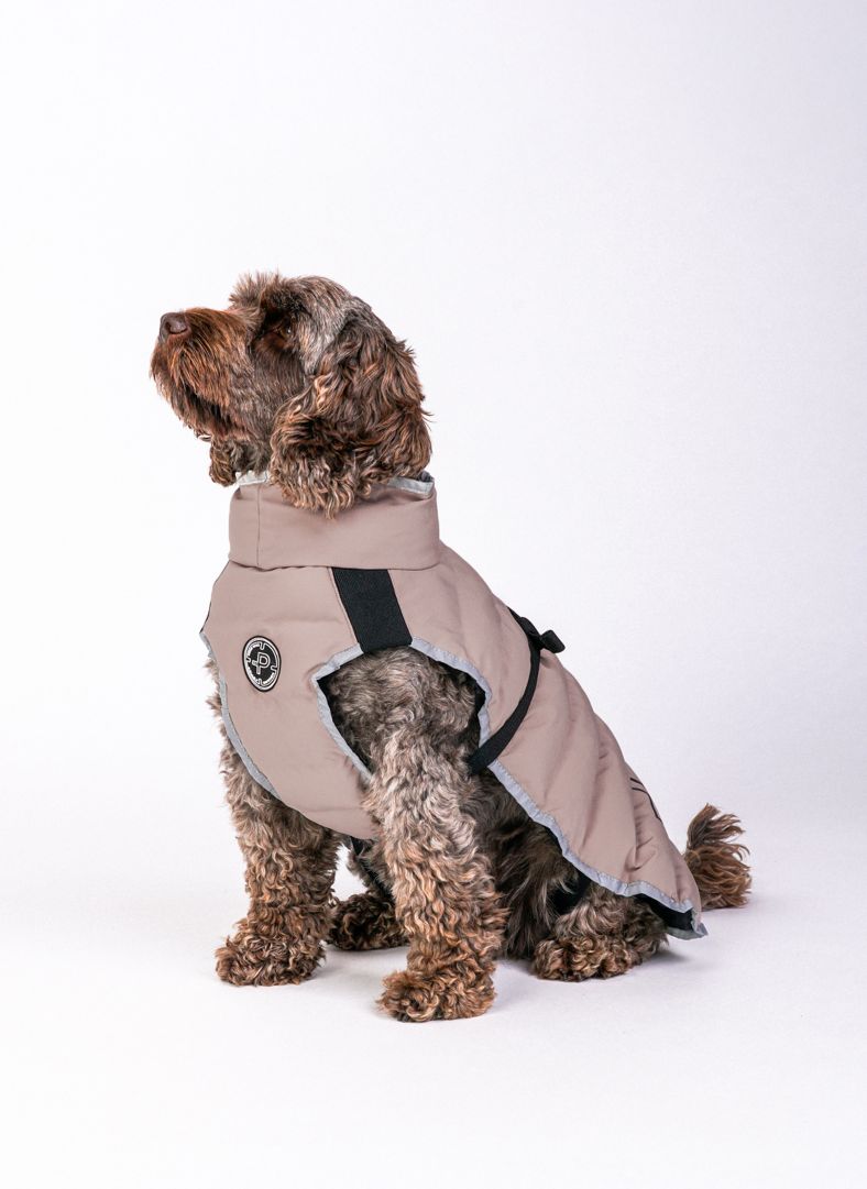 Commodus Dog Coat