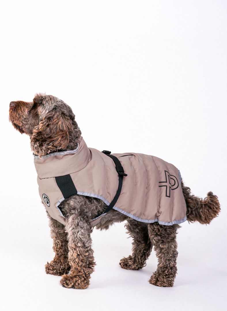 Commodus Dog Coat