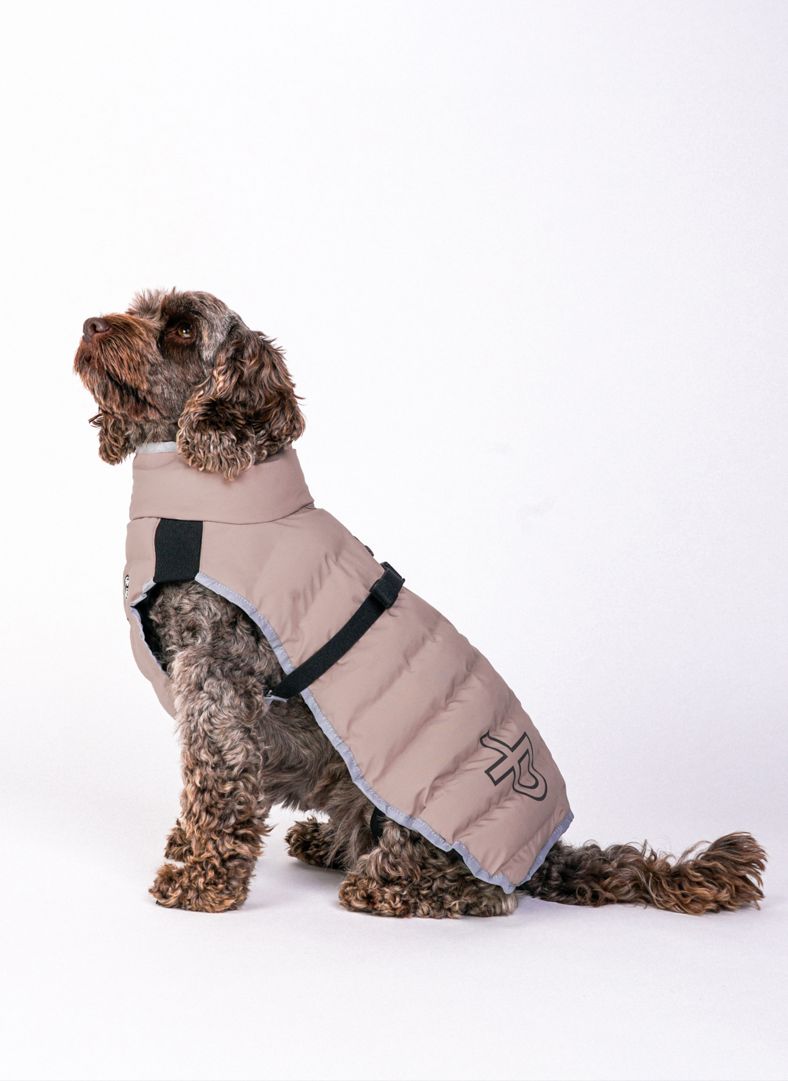 Commodus Dog Coat