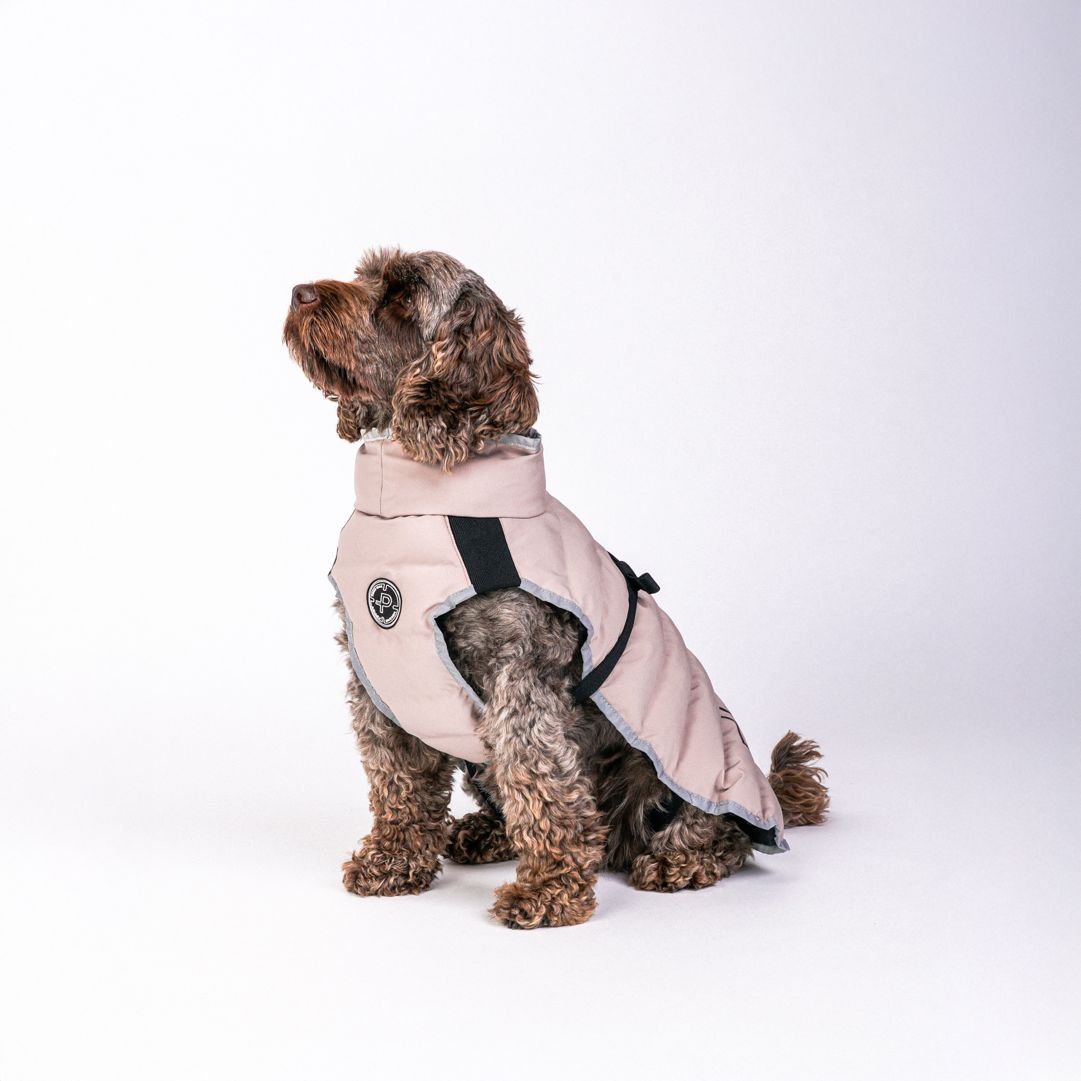 Commodus Dog Coat