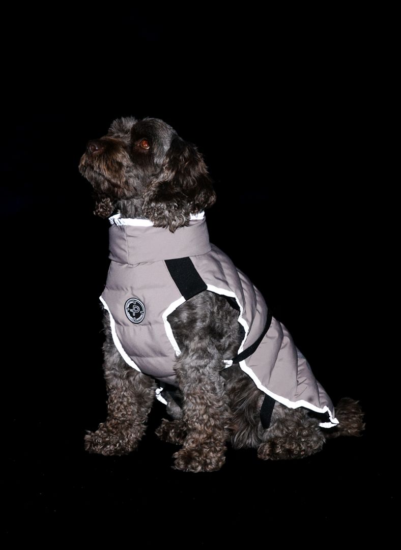 Commodus Dog Coat