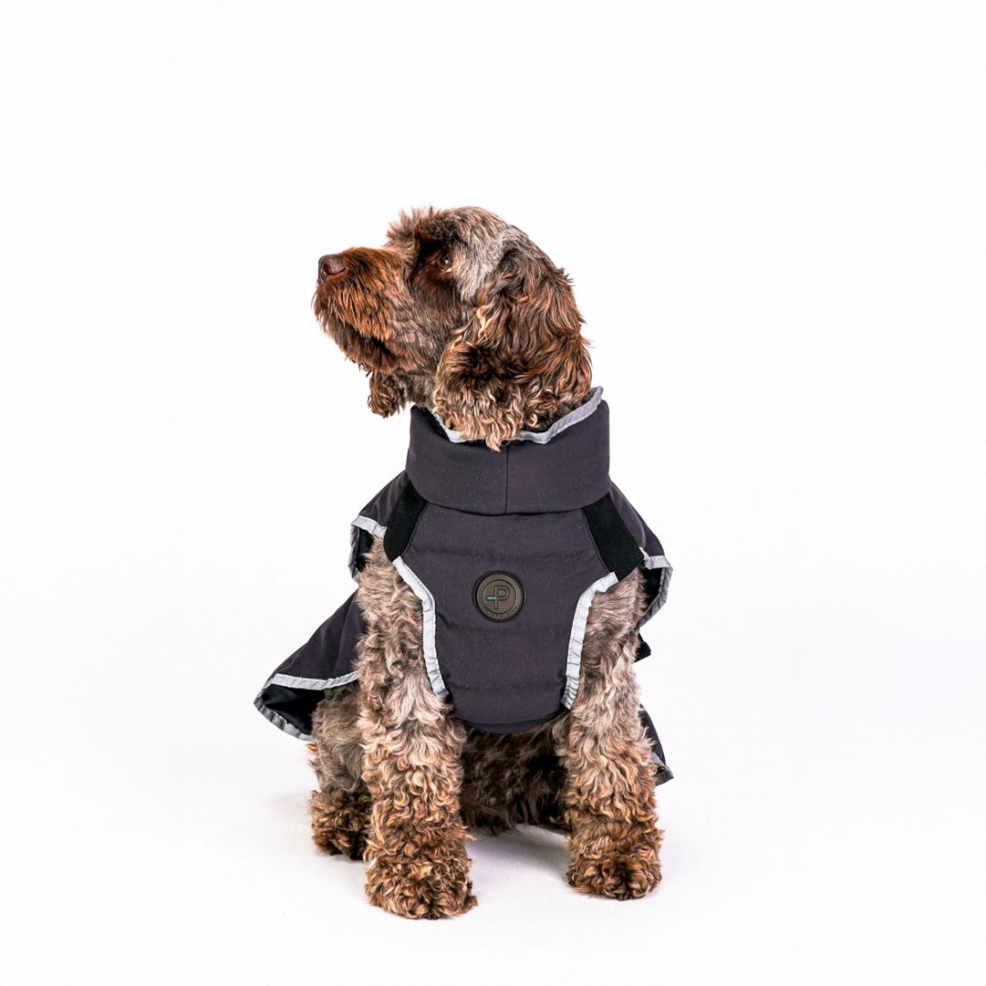Commodus Dog Coat
