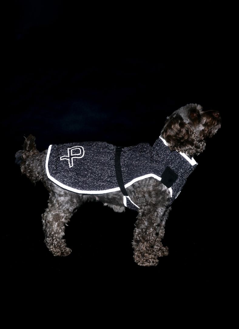 Commodus Dog Coat