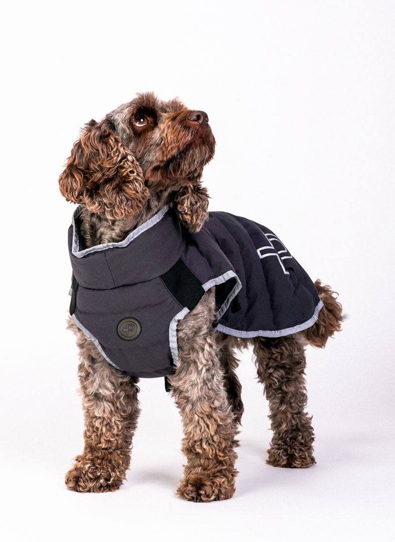 Commodus Dog Coat
