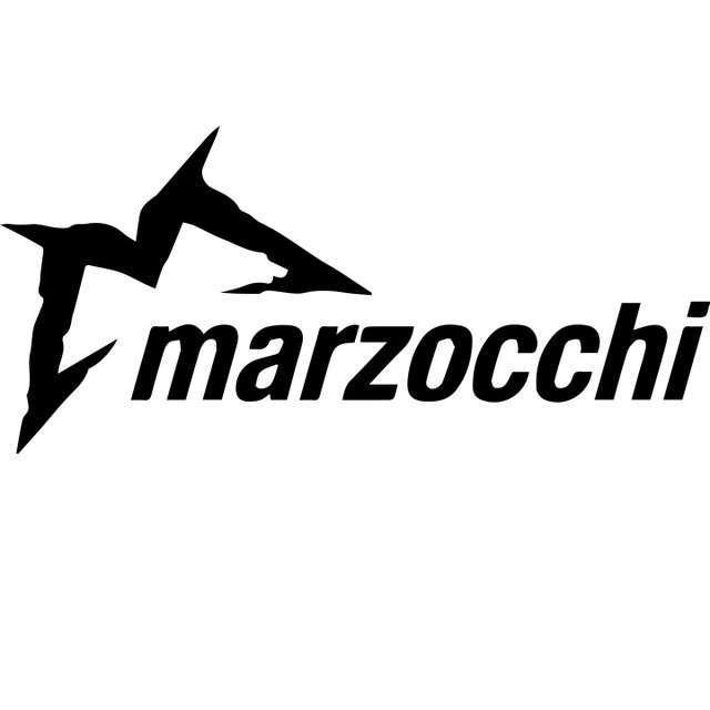 Marzocchi 820-02-690-KIT SS: Air Shaft Assy, 2025 Super Z, 190mm, 1.345 Bore