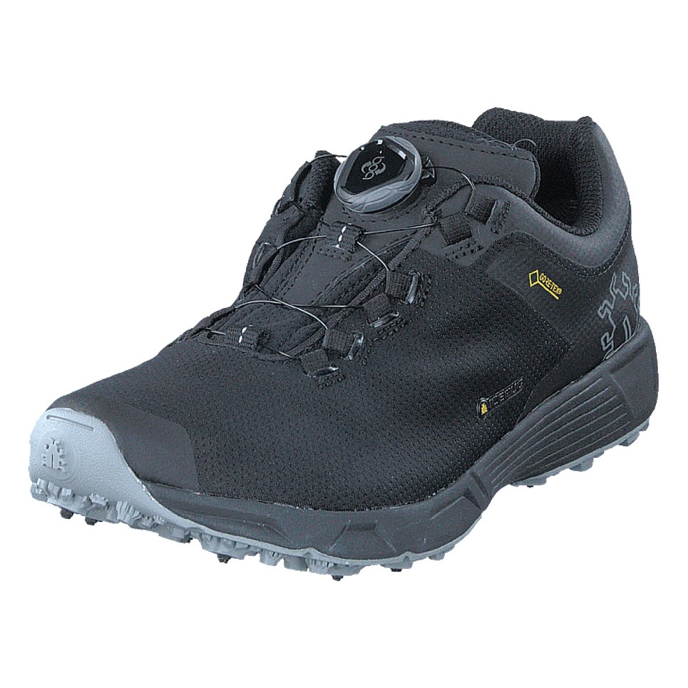 Icebug DTS3 W BUGrip GTX