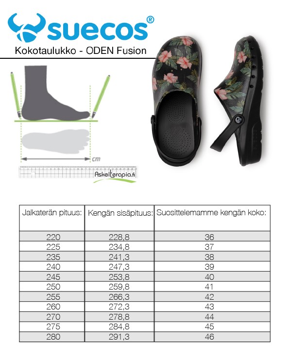 Suecos Oden+ Print