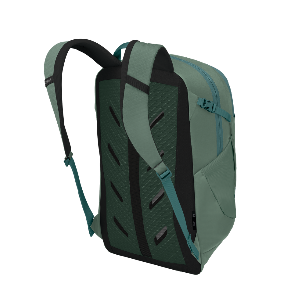 Axis 24 Pine Leaf Green