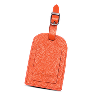 North Pioneer Bagasjetagg – skinn