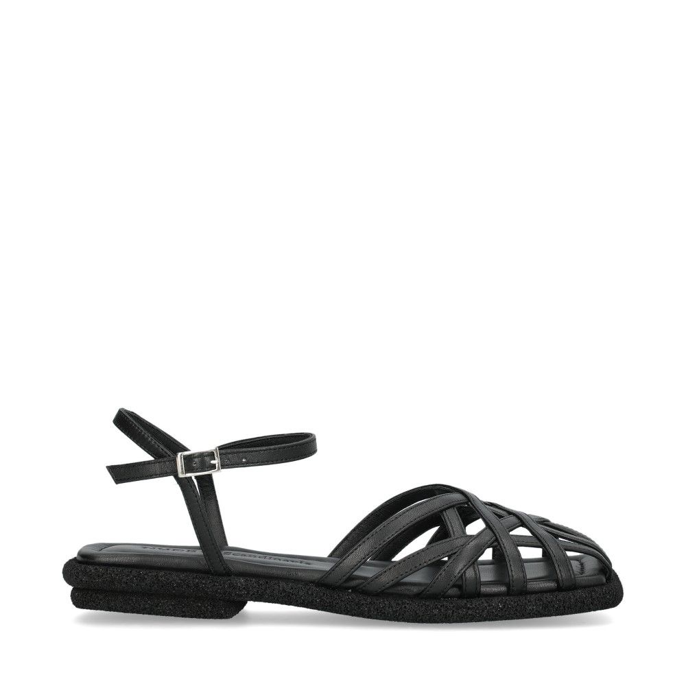 Anna G Sandaler