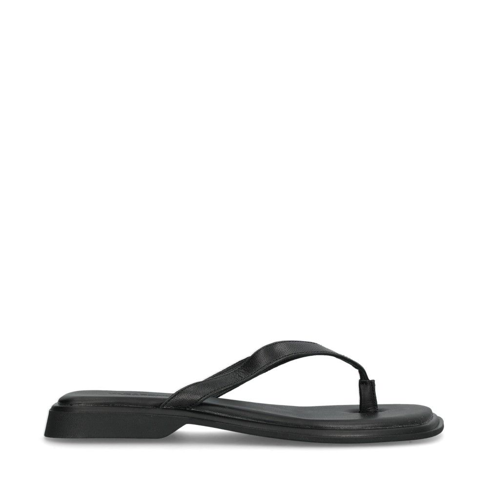 Izzy Sandaler