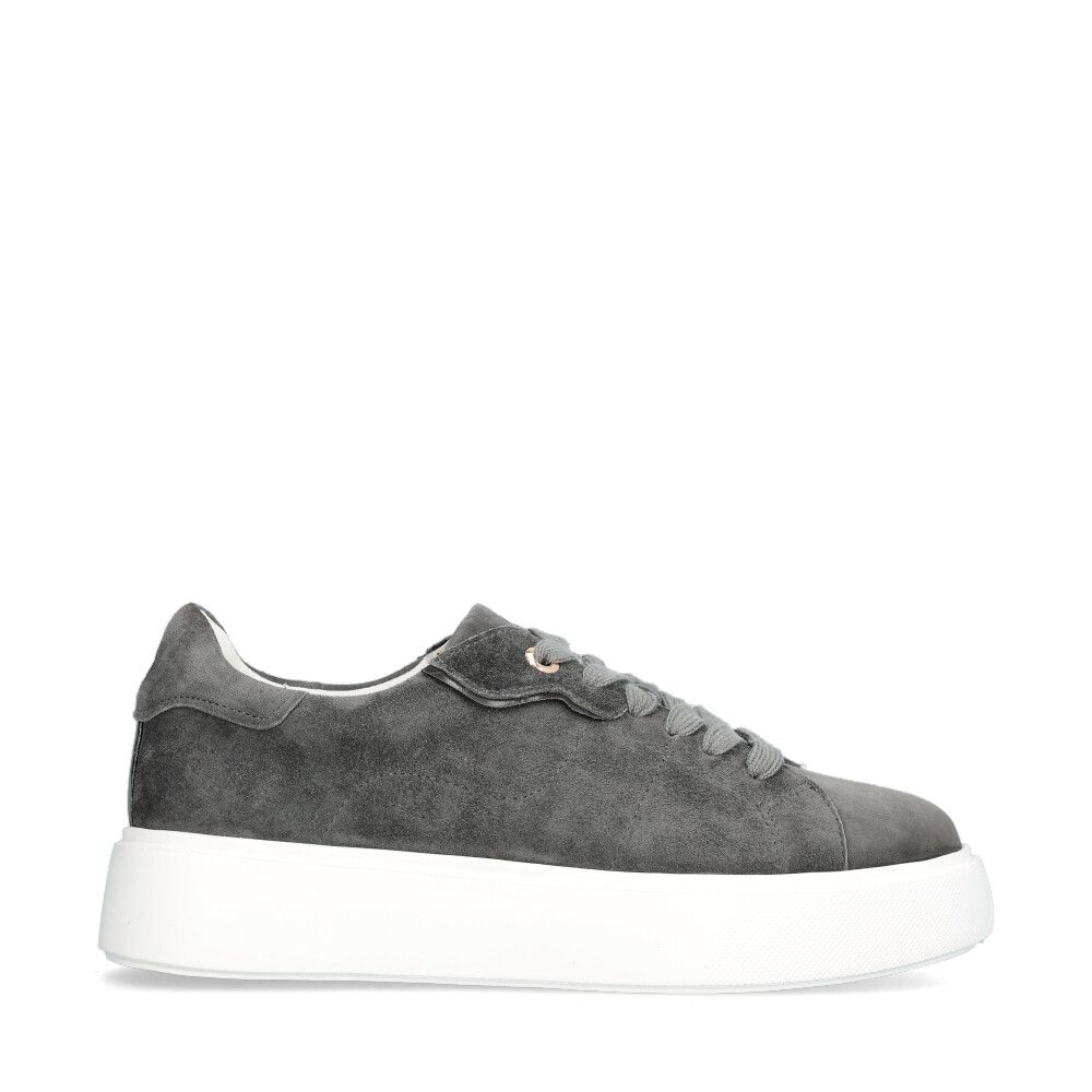 Ardisia Sneakers Vid