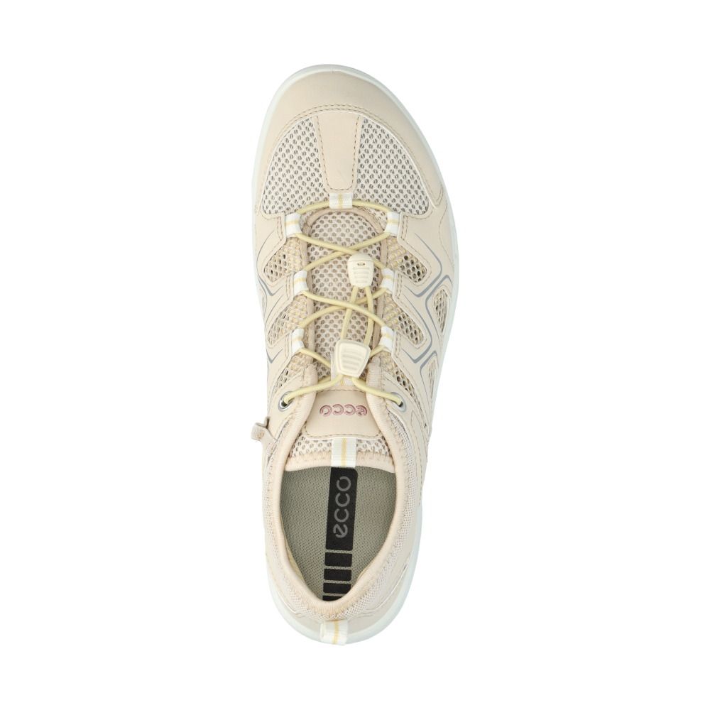 Terracruise W Sneakers