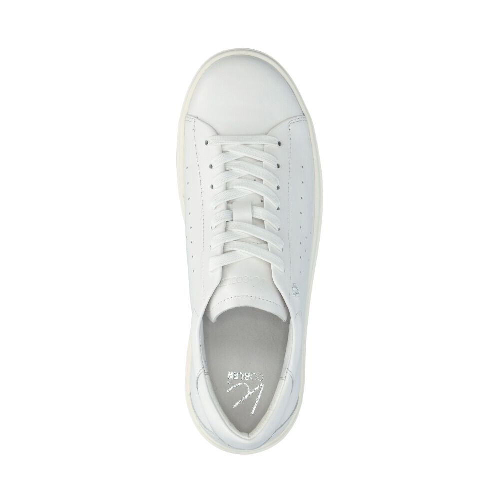 Ashington Sneakers