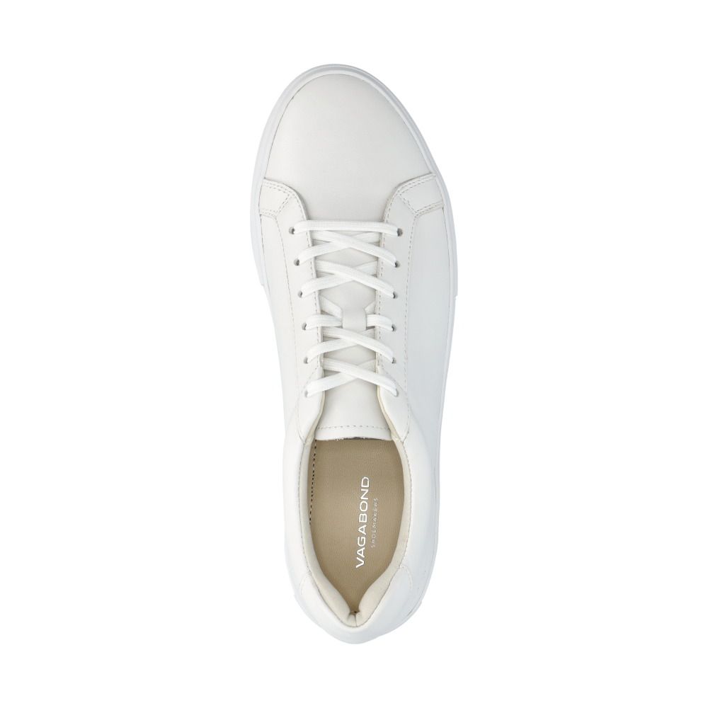 Cody Sneakers