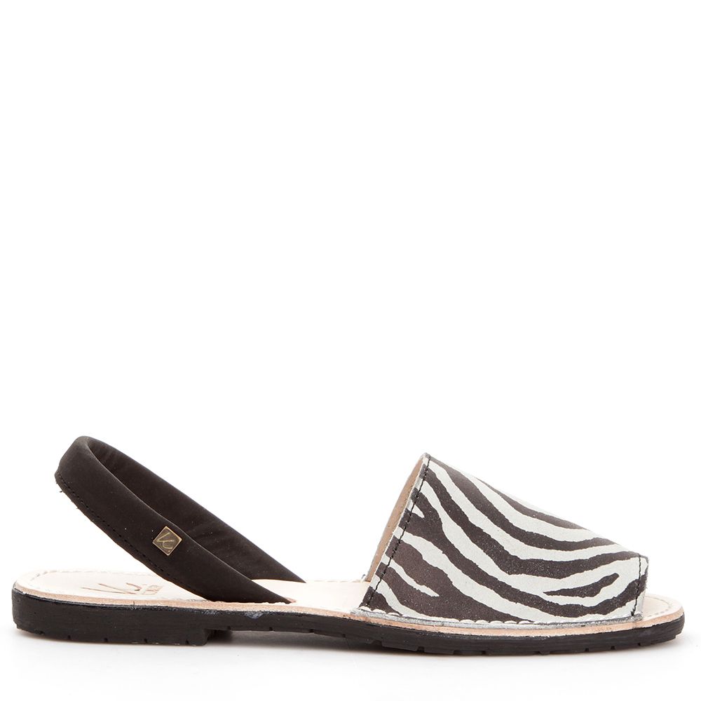 Palma Zebra