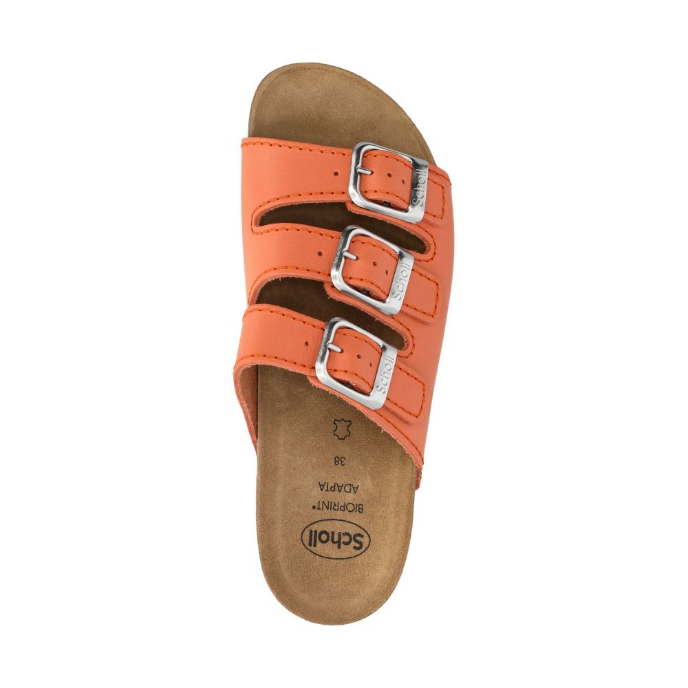 15143105 Rio WG AD orange
