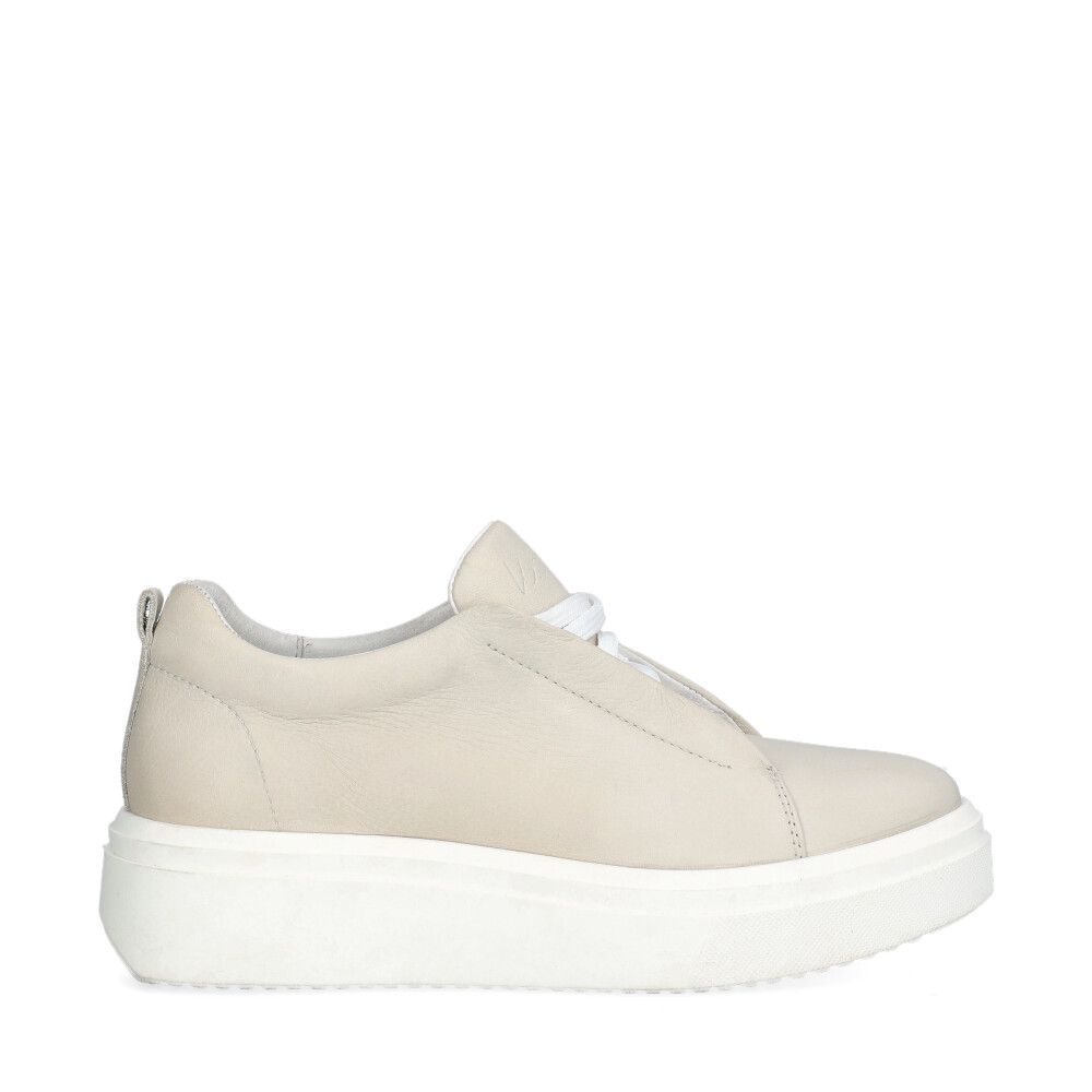 Swindon Lace Sneakers Grå