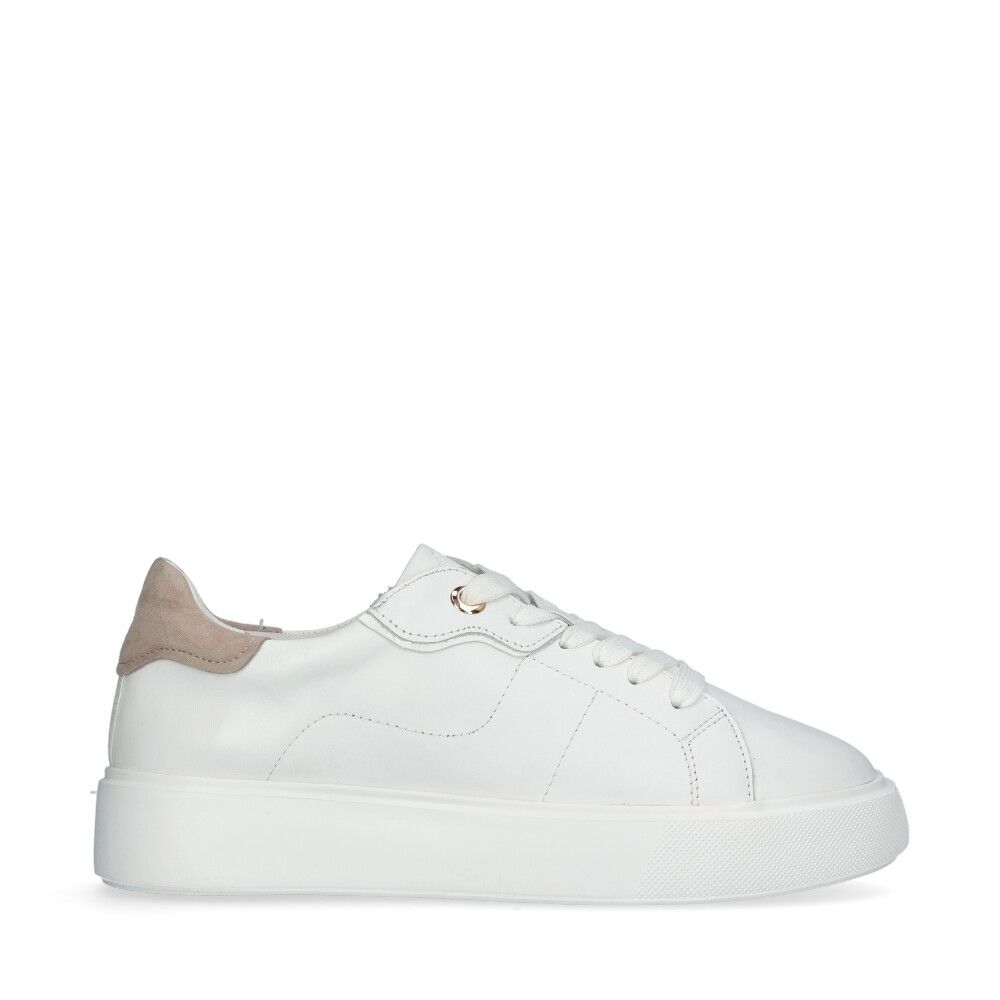 Ardisia Sneakers Vid