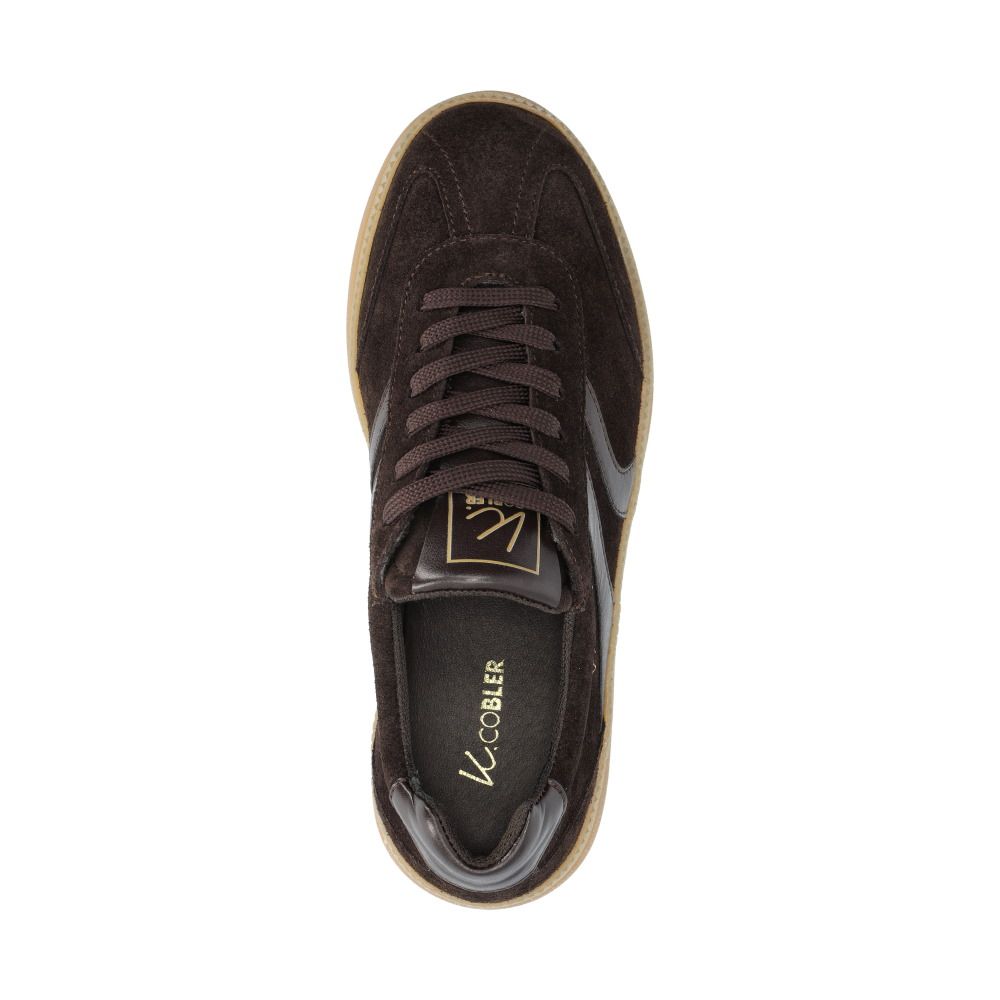 Alpha Sneakers Brun Brun