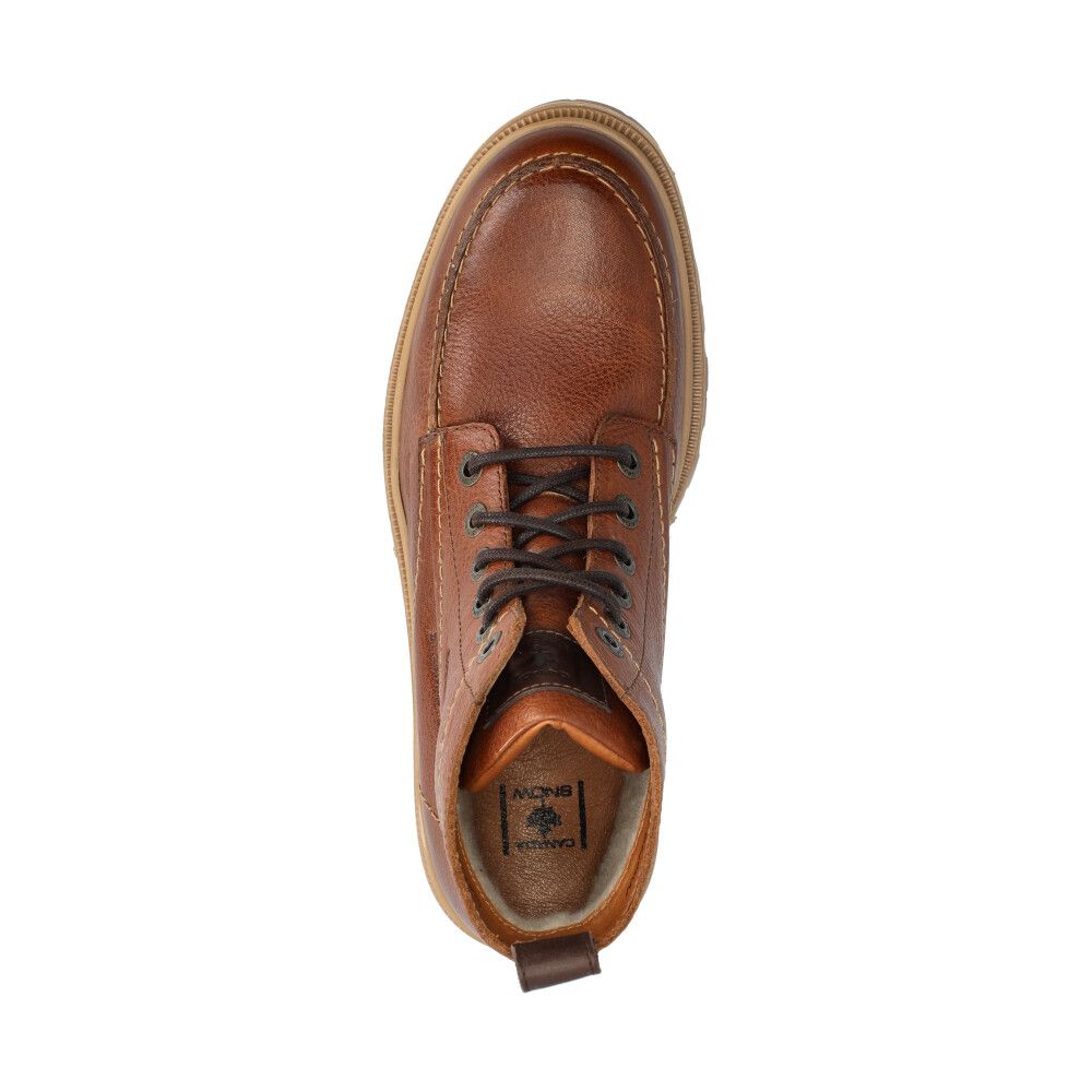 Mount Hektor Low Kängor Cognac