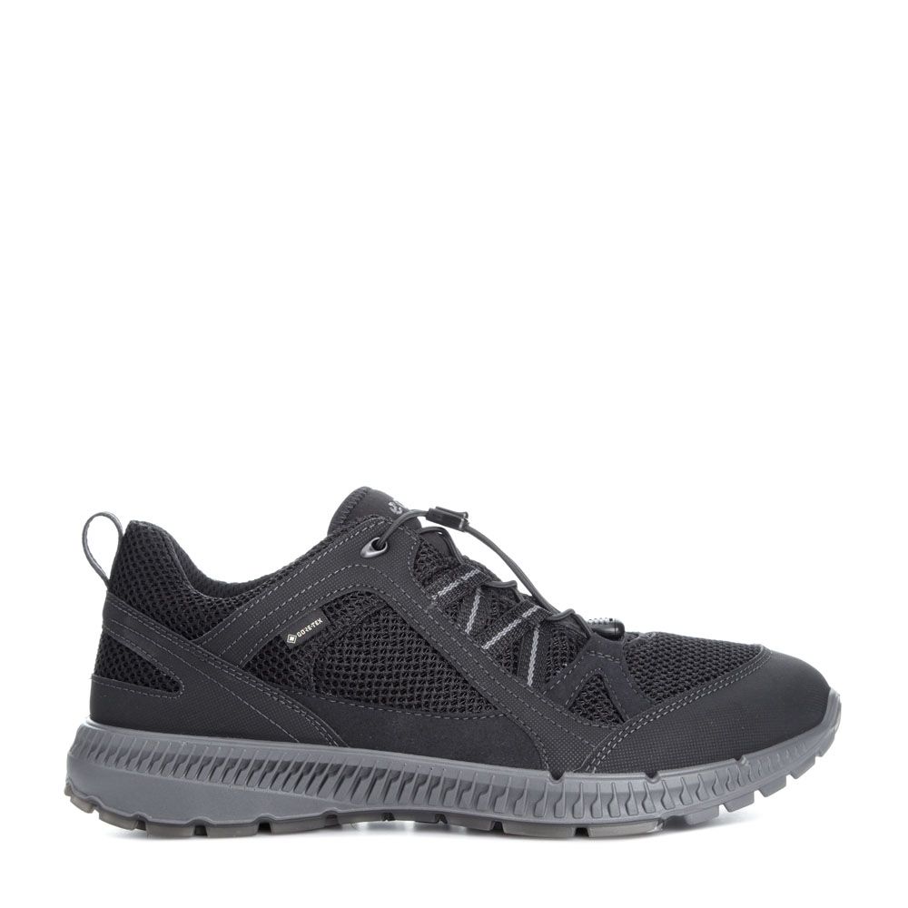 Terracruise Sneakers Gore-Tex® M Svart